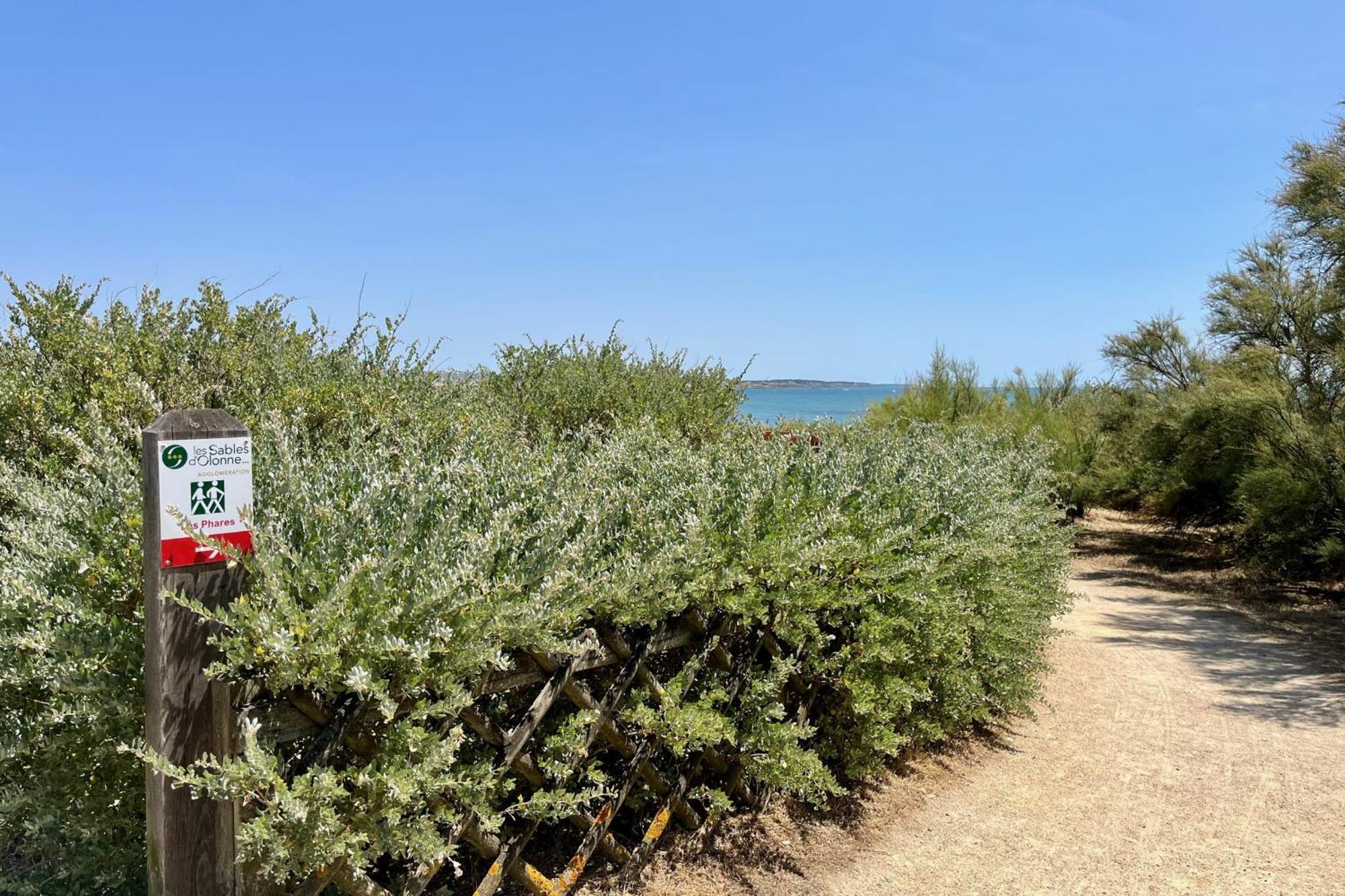 Apartment Vue Imprenable Sur L'ocean & Piscine Naturelle Les Sables-d'Olonne